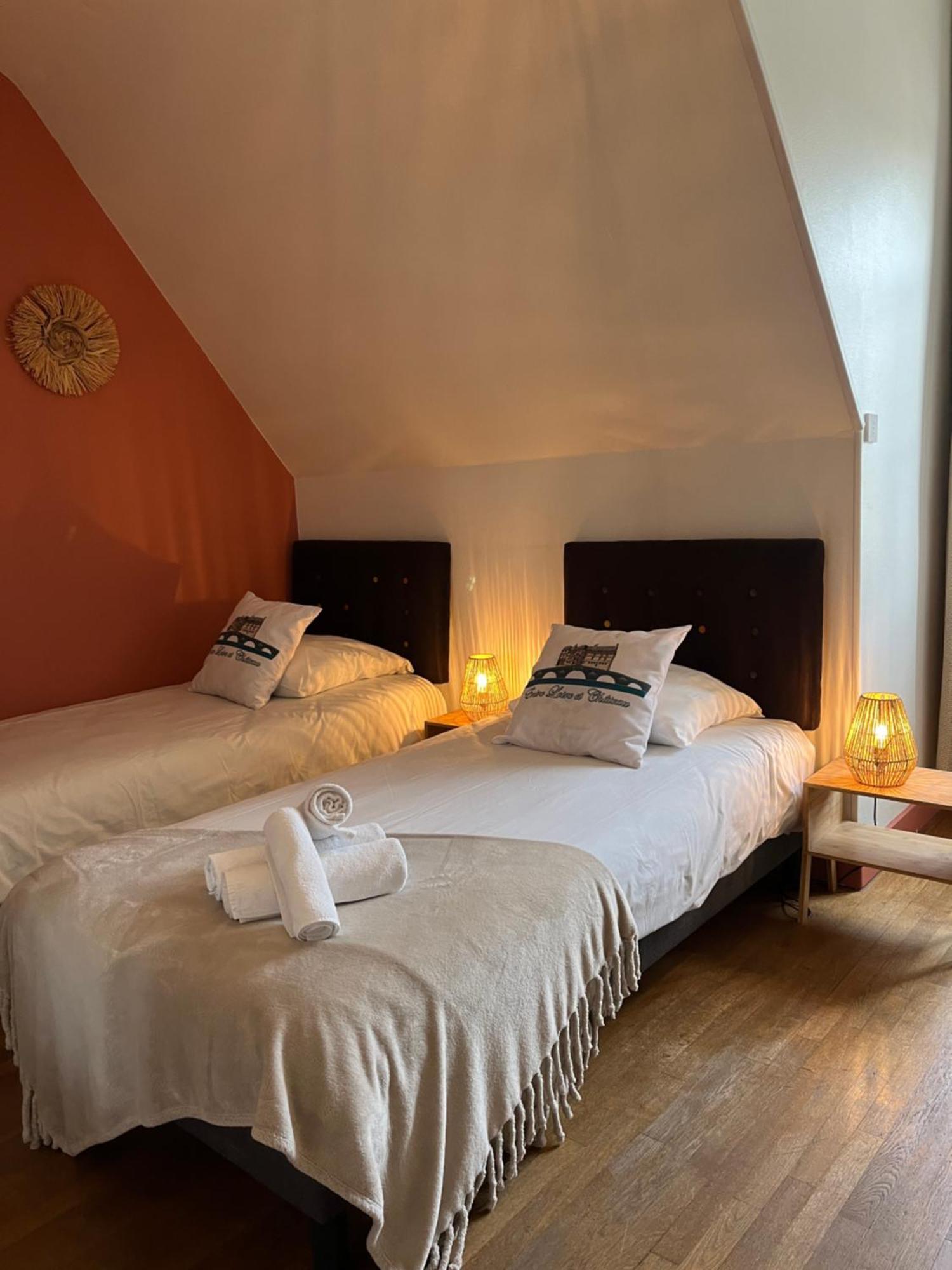Entre Loire & Chateau - Vue Exceptionnelle A Blois Eksteriør bilde
